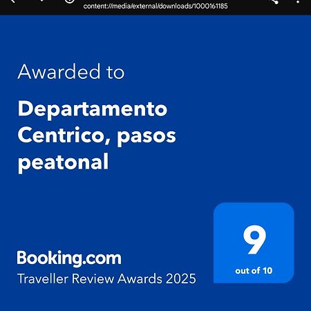 Departamento Centrico, Pasos Peatonal Apartment Мендоса Екстериор снимка