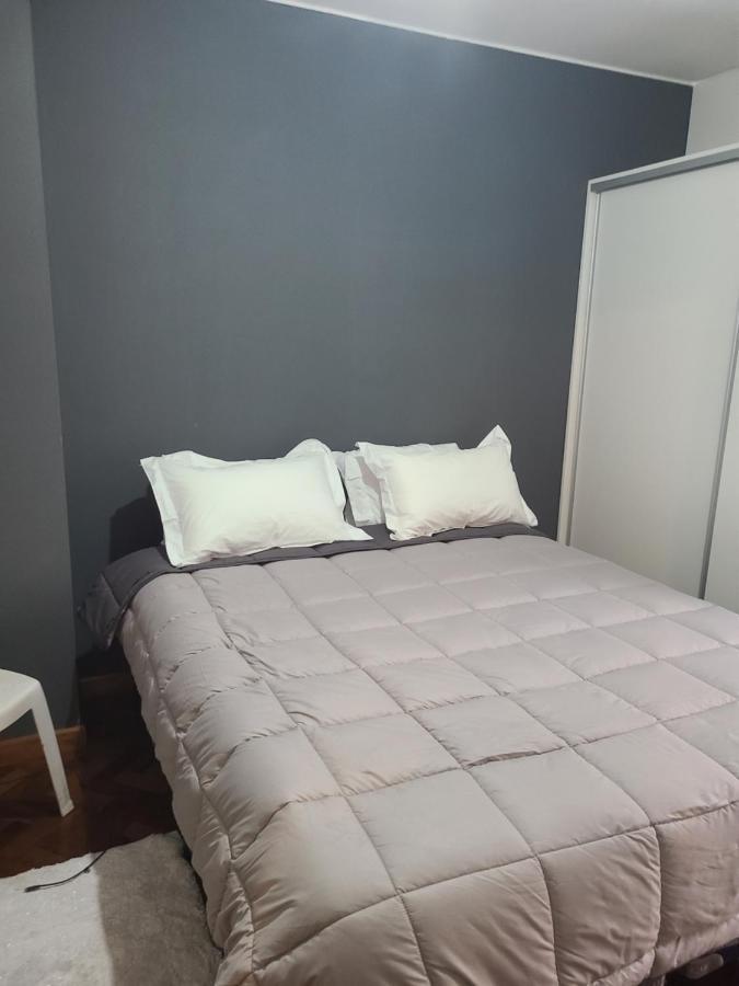 Departamento Centrico, Pasos Peatonal Apartment Мендоса Екстериор снимка